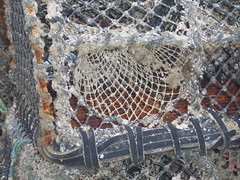 crab pot close-up