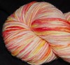"Pickled Ginger" Worsted Weight Malabrigo
