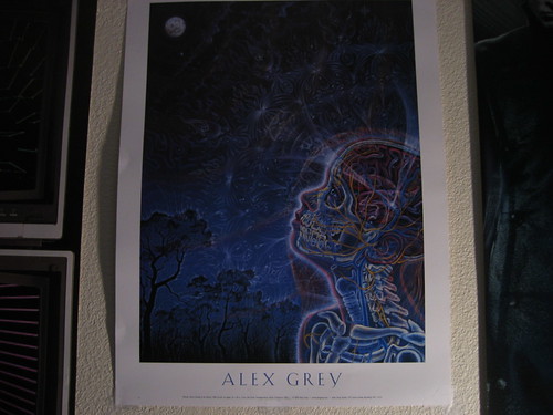Alex Grey's Wonder poster