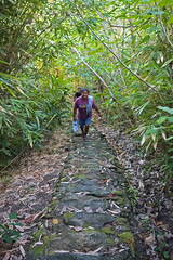 Walking the Tamilyog Trail