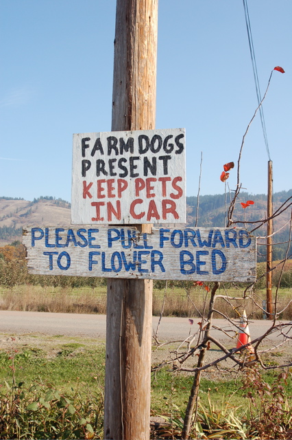 ff_rasm_pets_car_farm_dogs