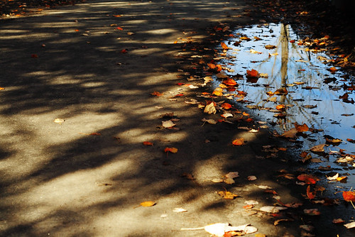 Fall Reflections 4159