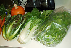 pumpkin and green veggies