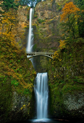travel websites photo of multnomah falls