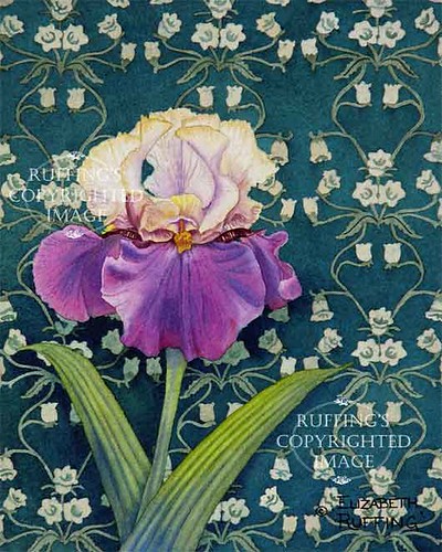 "Tan and Purple Iris on Green" ER28 by Elizabeth Ruffing Floral Giclee Print