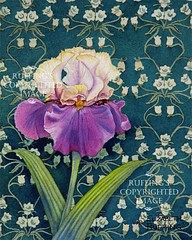 Tan and Purple Iris on Green Print by Elizabeth Ruffing