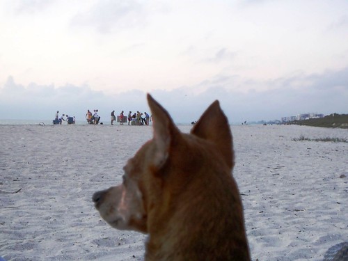 People Watching Bonita Beach