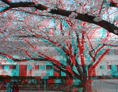 3D-anaglyph-R0012014