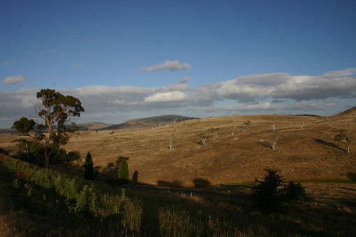 Central Tasmanian Farmland...