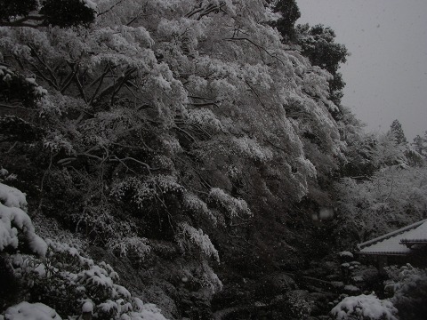 当麻寺（雪景色）-08
