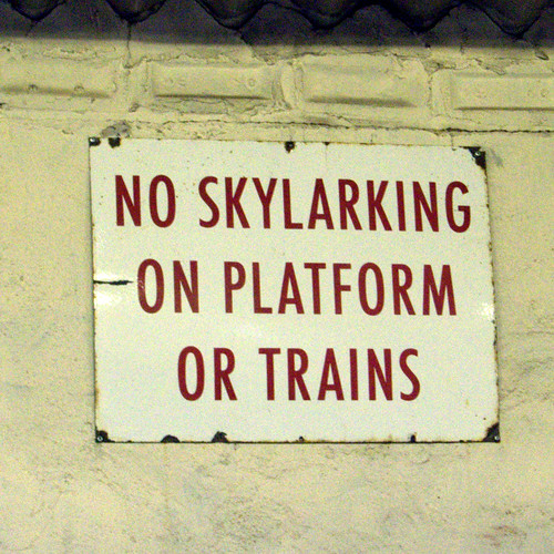 No Skylarking