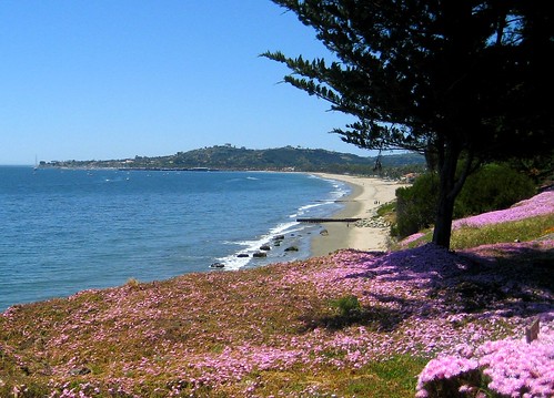 Santa Barbara Shoreline