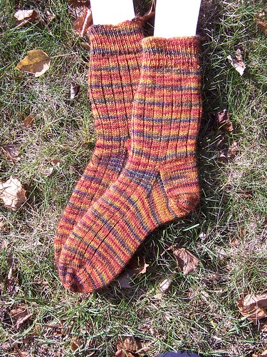 Lichen Ribbed Socks
