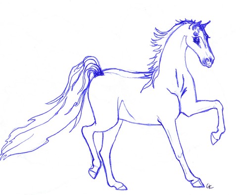 saddlebred horse coloring pages - photo #20