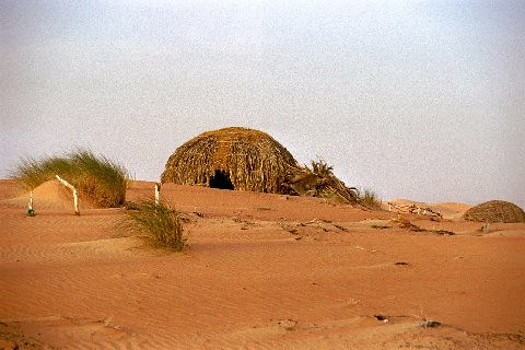 GUELTAS D’AMAZMAZ / OASIS DE MEDDAH / MEHIRT - Mauritania (2)