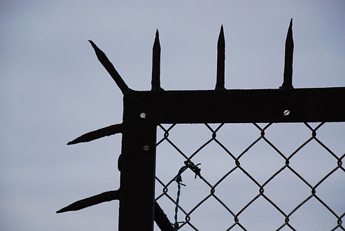 eminem deer on fence. Eminem Deer On Fence. fence Tralian securitybuy metal spiked fences have