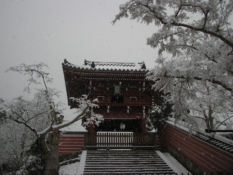 当麻寺（雪景色）-09