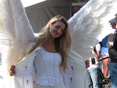 2008 Specialized Angel