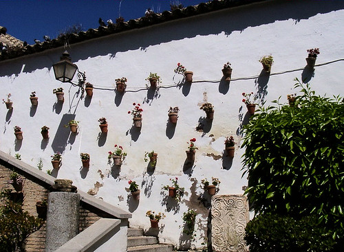 Cordoba Flower Wall5