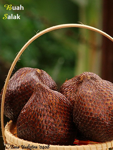 snake fruits/zallaca palm