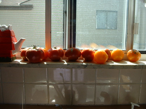 October Tomatoes