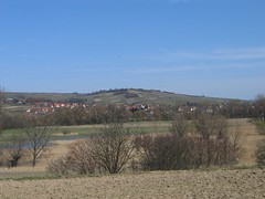 Selztal zwischen Schwabenheim und Elsheim