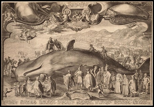 Beached Whale - Jan Saenredam 1602 (1618 Ed.)
