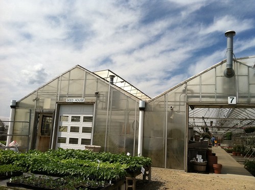 [155/365] Greenhouses by goaliej54