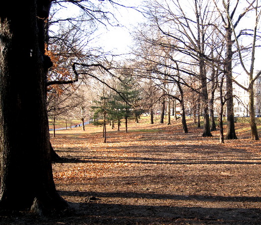 Prospect Park in Winter One