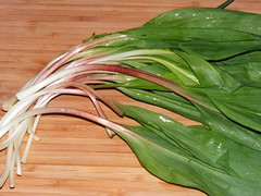Ramps ready for chopping