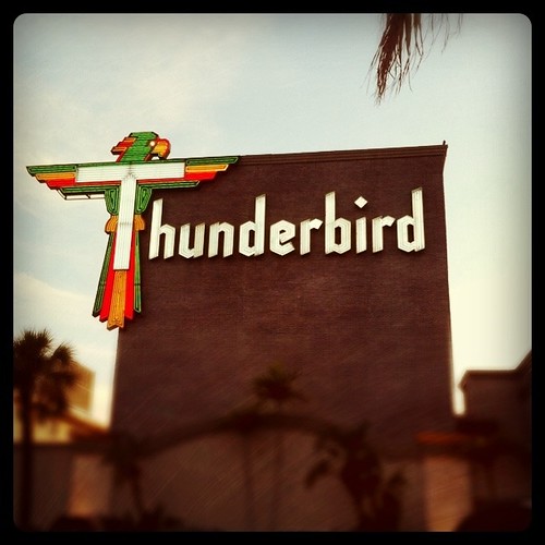 Thunderbird Motel by bichonphoto