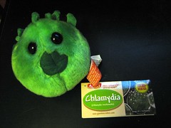 chlamydia is cute!