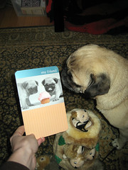 norman gets a birthday card