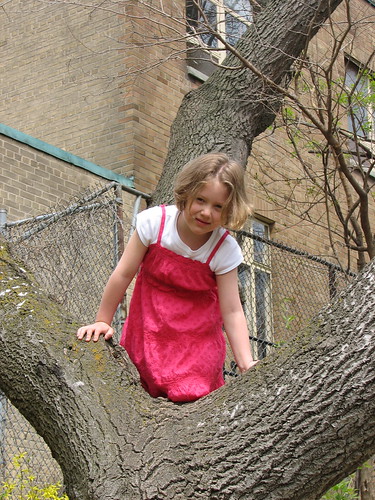 M climbing a tree at the park