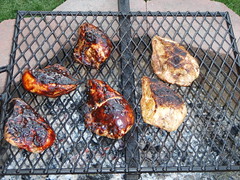 Swing out campfire grill grate with grilled chicken