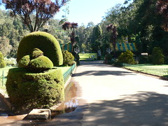 Ooty Botanical Gardens, Ooty