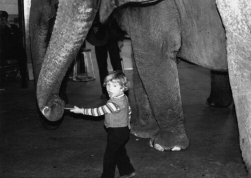 Florian Richter seen here with the Ringling Brothers Barnum and Baileys Blue Unit 1980 in Madison Sq. Garden