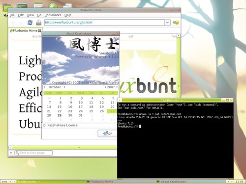 Fluxbuntu avec un terminal et Kazehakase en action.