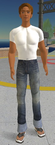 Uncustomized male Second Life Avatar