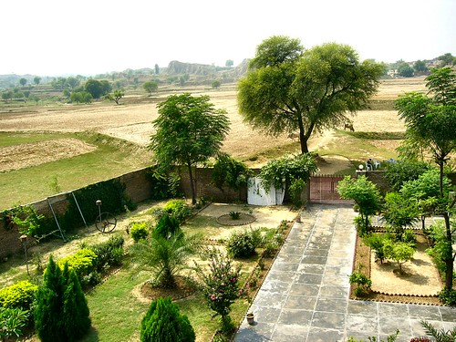 Dadi's Madrasah - Garden