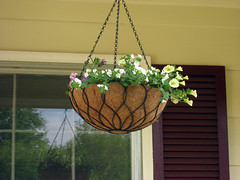spring hanging baskets