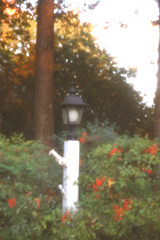 pinhole lamppost