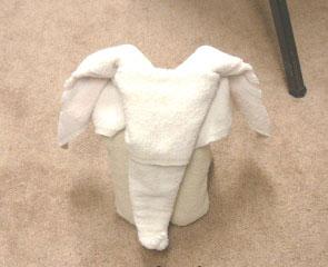 Towel Elephant 16