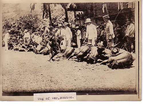 Bontoc Tug-of-War, Philippines 1911  Philippine Buhay Pinoy Noon old pictures photograph black and white Philippines  Filipino Pilipino  people photos life Philippinen indigenous tribe game    