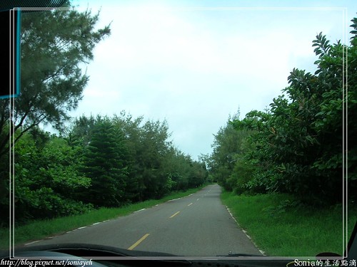 2007澎湖-兩旁都是樹的小路