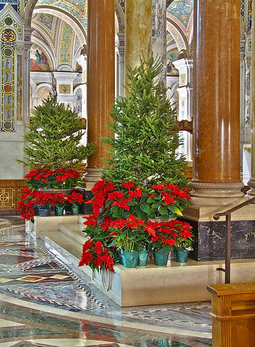 Cathedral Basilica of Saint Louis, in Saint Louis, Missouri, USA - High Altar detail, decorated for Christmas