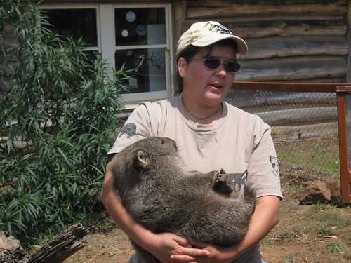 Wildlife Park - Wombat