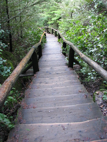 stairs along stawamus chief trail by dangolo.