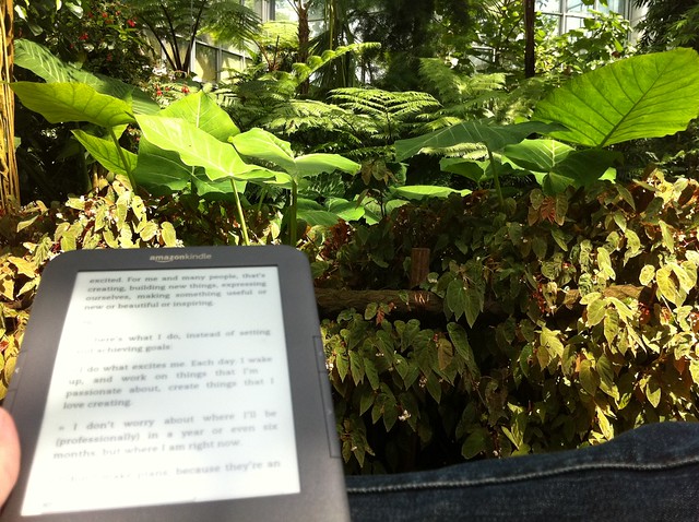 Entspannt lesen im Palmengarten Frankfurt