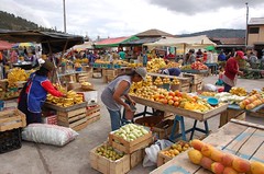 Fruit section of the market